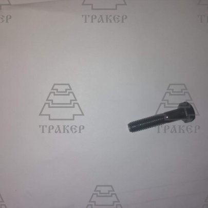 Болт М6х30 (черн.) ГОСТ 7798 кор 25 кг