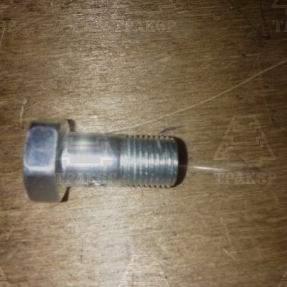 Болт Banjo М10x1