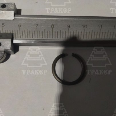 Кольцо 54.38.619 (БЗТДиА)