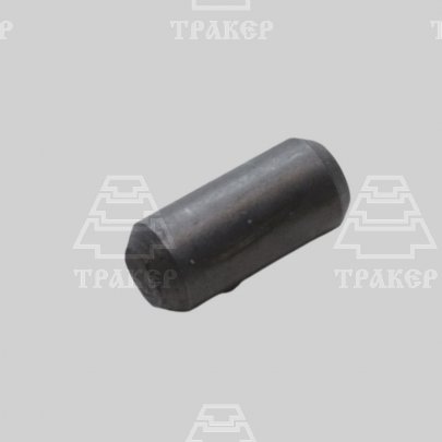 Штифт Д01-015 установочный (D=14мм, L=31мм) (САЗ Сморгонь)