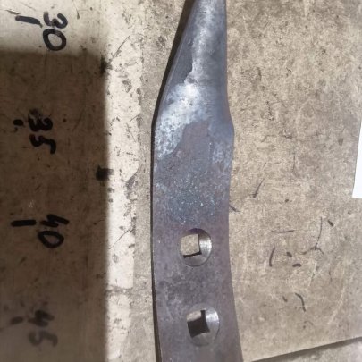 Лапа копьевидная РК-7, Беларусь