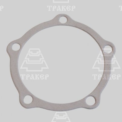 Прокладка 55-33-073 (в корпус 031)