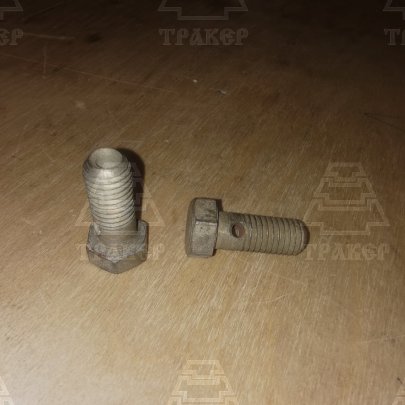 Болт штуцер А12.01.013.01 (М12х1,75)