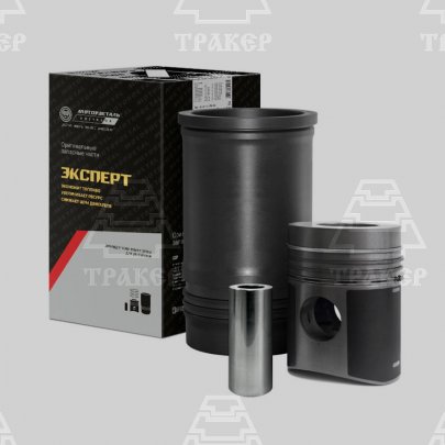Поршневая группа для Я-З 236-1004006-90 серия ЭКСПЕРТ Кострома 14603 (компл. из 6шт)
