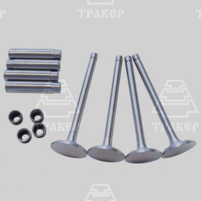 Клапан впускной 240-1007014, втулка 245-1007032, колпачок 240-1007020 (комплект по 4шт)