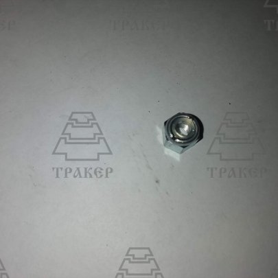 Гайка М5*0,8 (с нейлоновым кольцом)