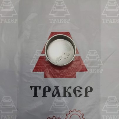 Заглушка чашечная корпуса водяных каналов (D45 мм) 1/43294/01