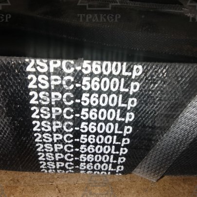 Ремень многоручьевой 2SPC-5600Lp HANSE