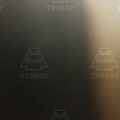 Клапан 5340.1007012 выпускной для Я-З-534,536 (ПАО АВТОДИЗ-ЛЬ)