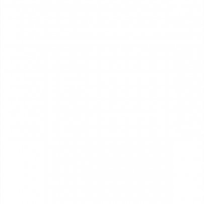 Муфта обгонная 105.006.02.070 (КУЖ40-50Л) КРН-2,1