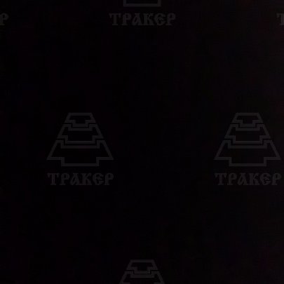 Масло PILOTS для 2-х тактных двигателей APT TС п/с 1л.