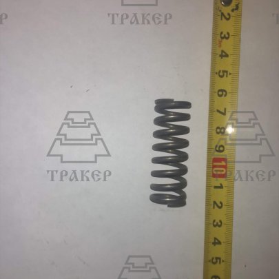 Пружина 700.17.01.034-1