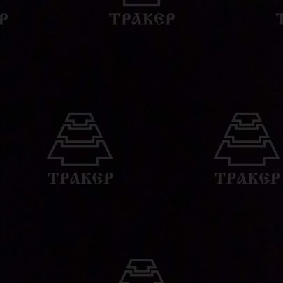 Набор звездочек-головок + вставки (35пр) (Е-4-Е20 +Т10-Т70) арт. 76460