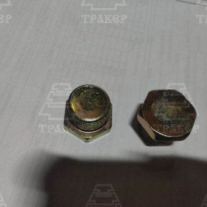 Заглушка Р-80 (М20х1,5) под ключ