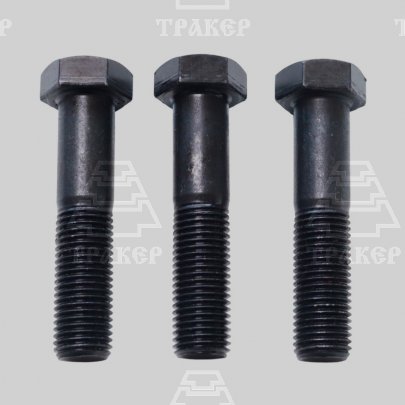 Болт М22х100 ГОСТ 7798 (1кг~3 шт)