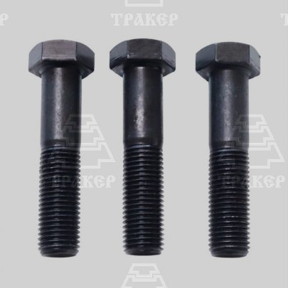 Болт М22х100 ГОСТ 7798 (1кг~3 шт)
