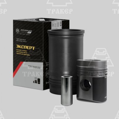 Поршневая группа для Я-З 236-1004006-Б-90 МД (Эксперт) (Кострома) 14602 (компл. из 6шт)